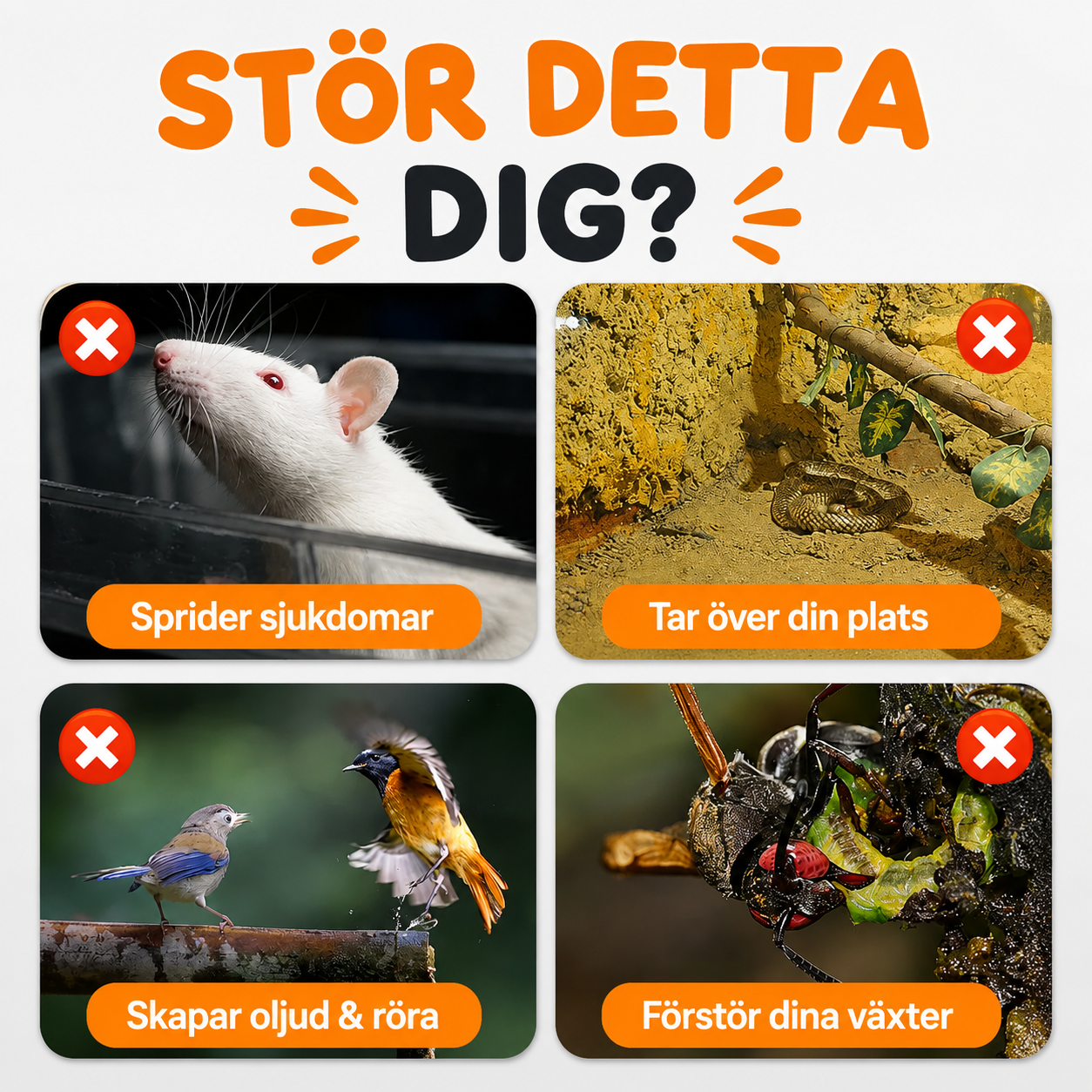 SolaGuard™ - Soldrivet skydd mot mullvadar och skadedjur